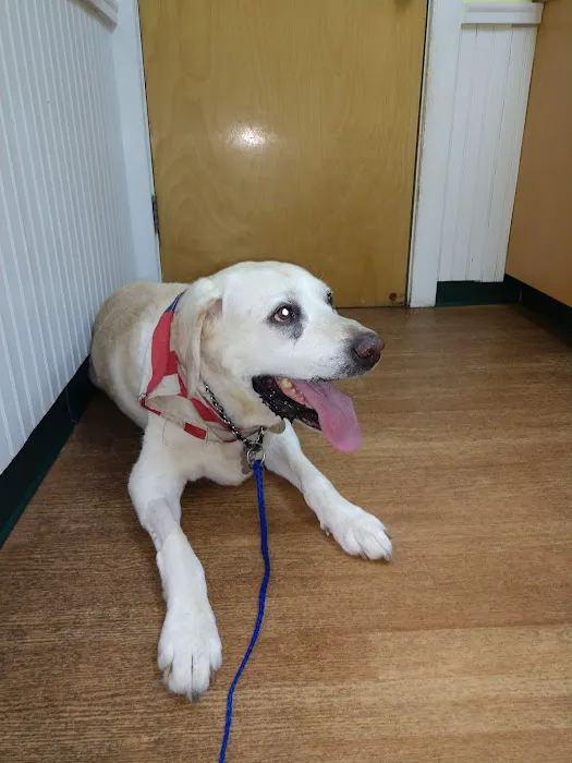 Centereach Animal Hospital Picture 7