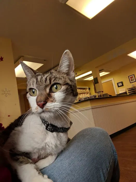 Centereach Animal Hospital Picture 6