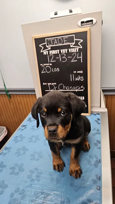 St. Francis Hospital for Animals Picture 6