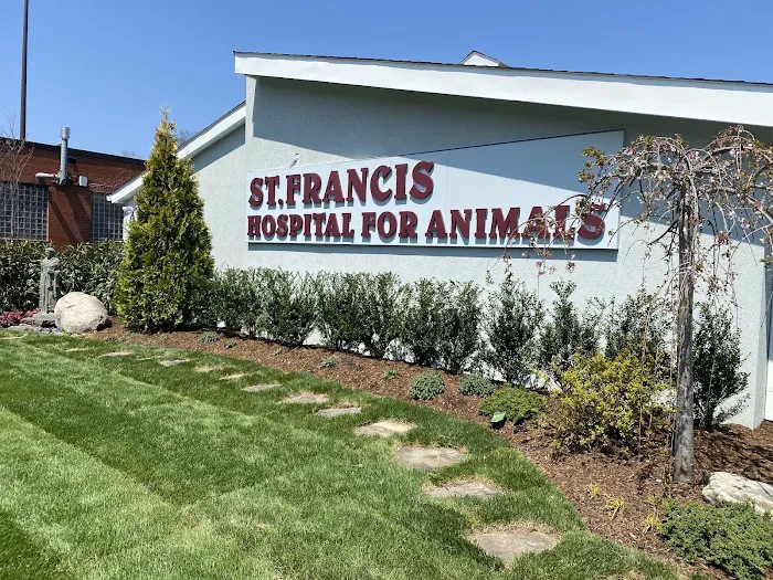 St. Francis Hospital for Animals Picture 10