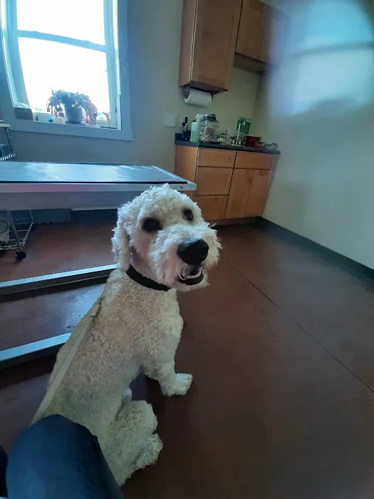 Lima Veterinary Center Picture 8