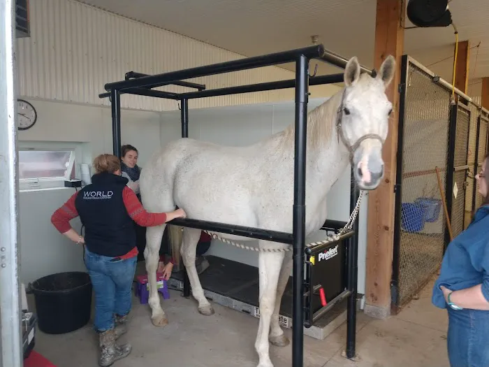 Henderson Equine Clinic Picture 3