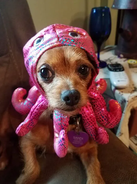 Avon Animal Hospital Picture 2