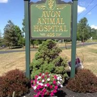 Avon Animal Hospital ico