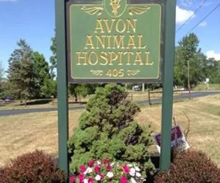 Avon Animal Hospital