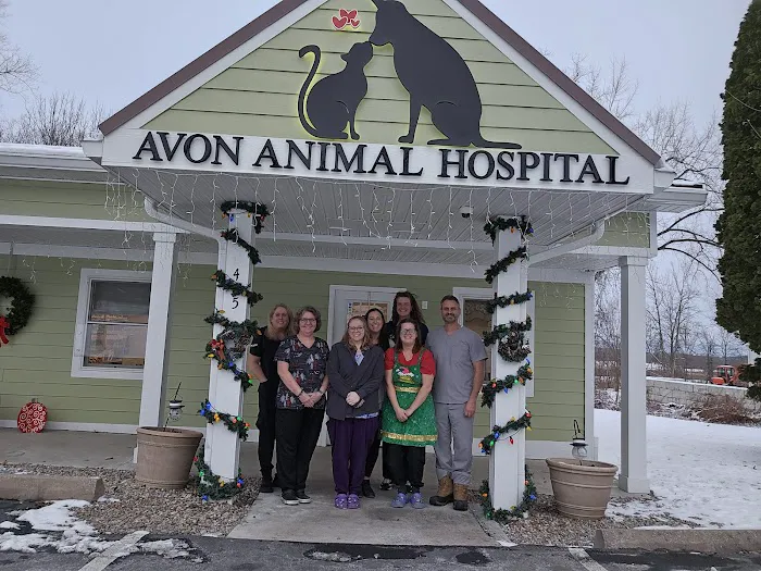 Avon Animal Hospital Picture 7