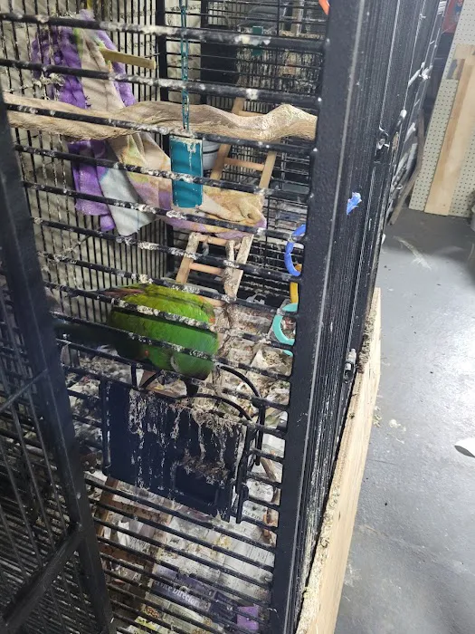 Exotic Aquatics and Pets Picture 4