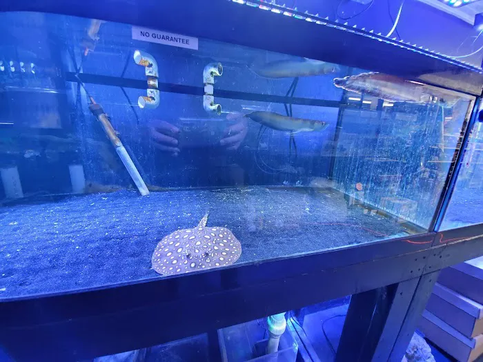 Exotic Aquatics and Pets Picture 9