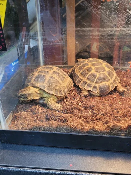 Exotic Aquatics and Pets Picture 3