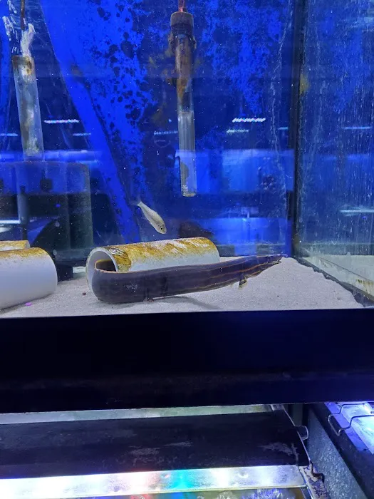 Exotic Aquatics and Pets Picture 2