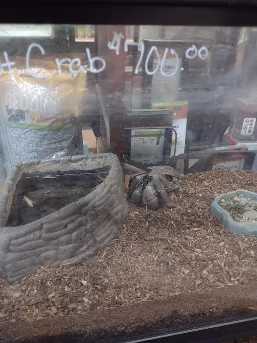 Exotic Aquatics and Pets Picture 10