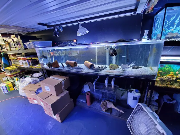 Exotic Aquatics and Pets Picture 8