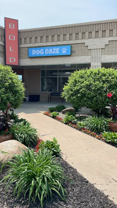 Dog Daze Boutique Picture 10