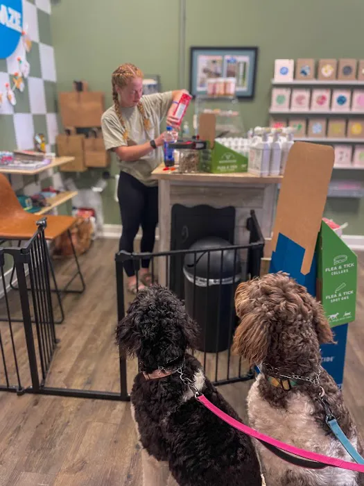 Dog Daze Boutique Picture 2