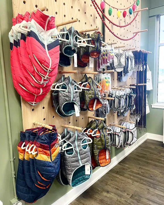 Dog Daze Boutique Picture 8