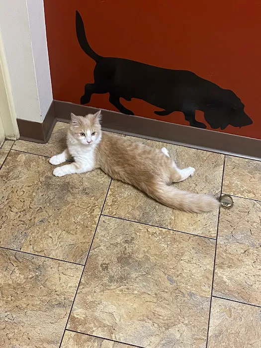 Honeoye Falls Veterinary Hospital Picture 10