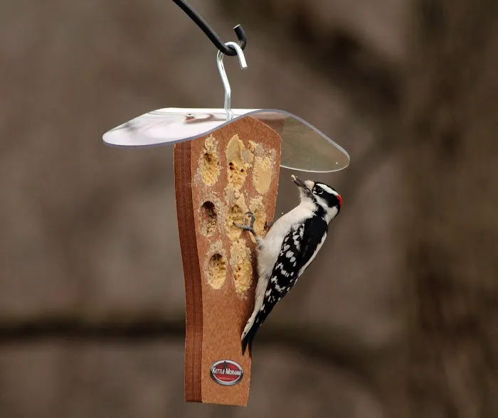 Kettle Moraine Woodworking Picture 9