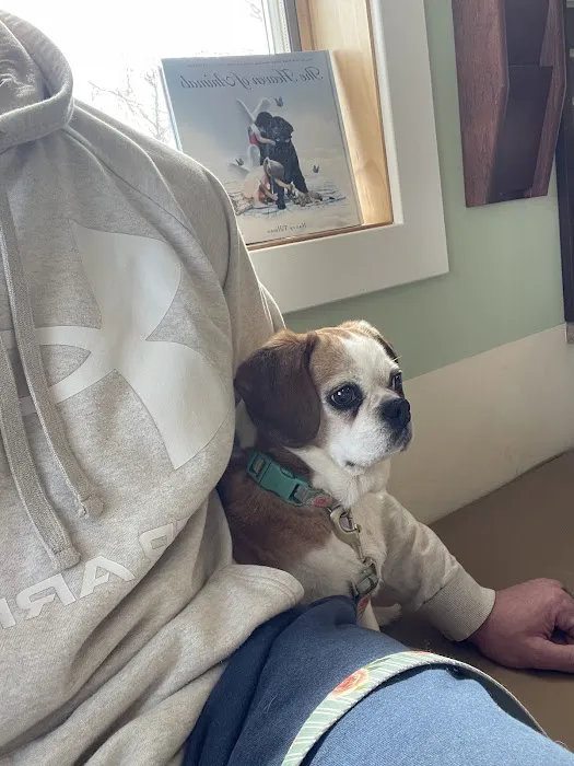 York Animal Hospital Picture 7