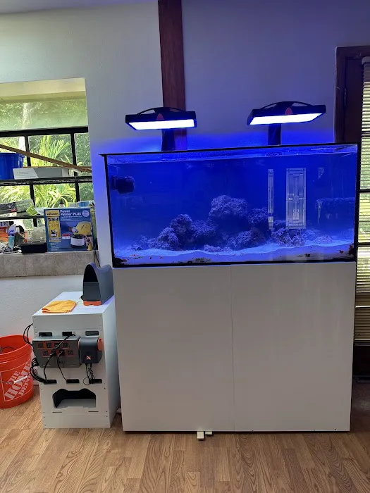 Midwest Aquaculture - Aquarium Maintenance & Design Picture 5