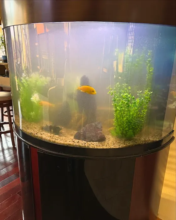 Midwest Aquaculture - Aquarium Maintenance & Design Picture 3