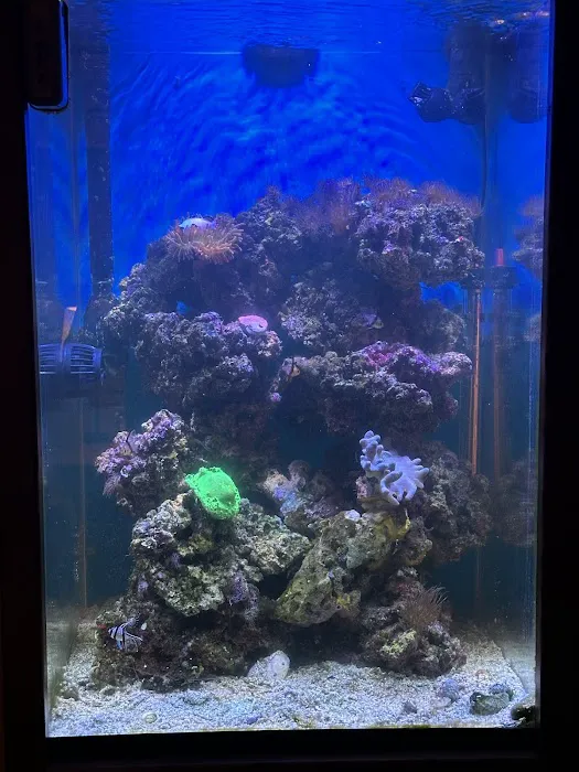 Midwest Aquaculture - Aquarium Maintenance & Design Picture 1