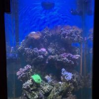 Midwest Aquaculture - Aquarium Maintenance & Design ico