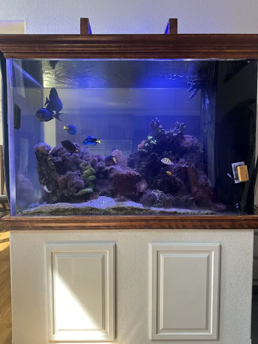 Midwest Aquaculture - Aquarium Maintenance & Design Picture 10