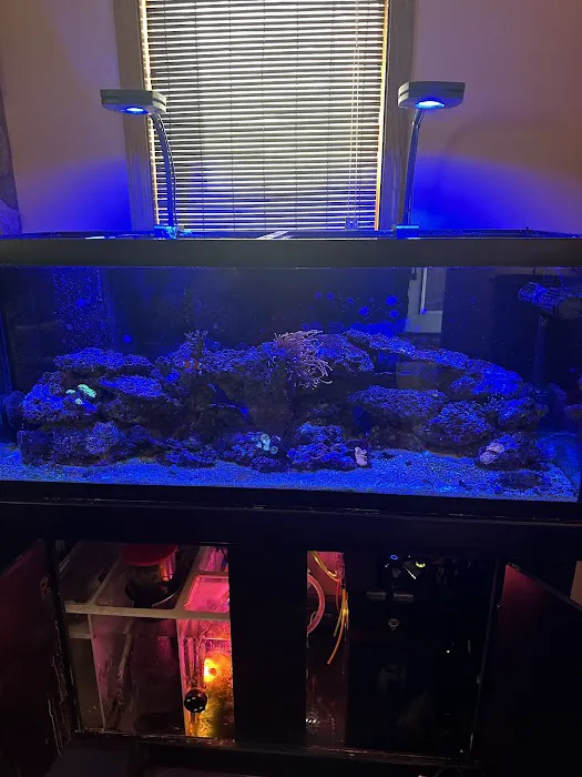 Midwest Aquaculture - Aquarium Maintenance & Design Picture 9