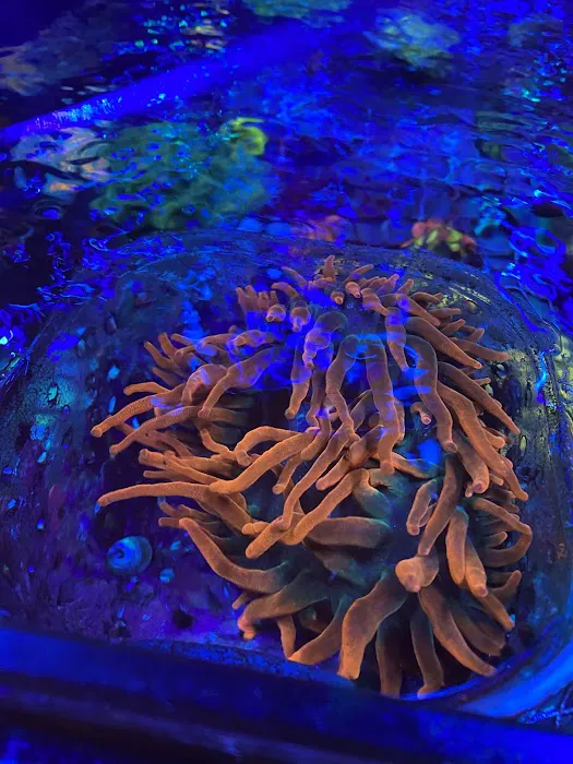 Midwest Aquaculture Picture 1