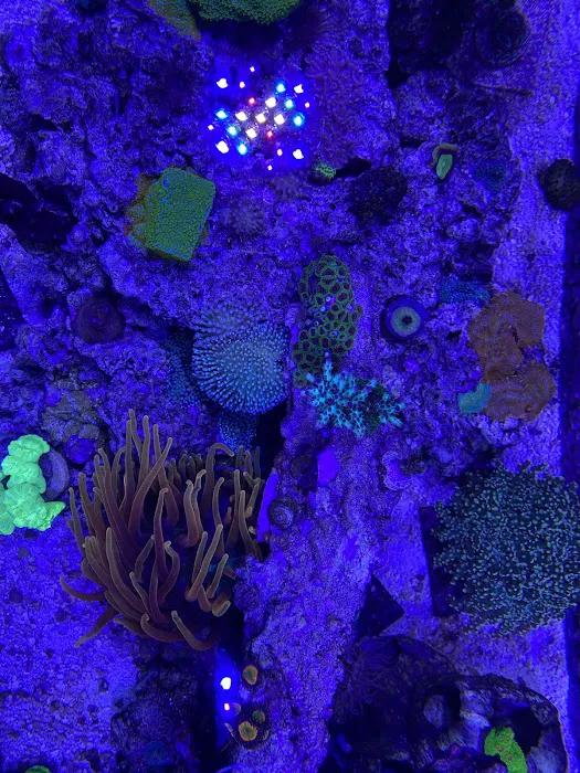 Midwest Aquaculture Picture 5