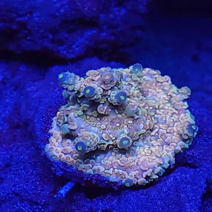 Midwest Aquaculture Picture 4