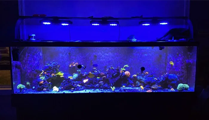 Midwest Aquaculture Picture 3