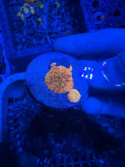 Midwest Aquaculture Picture 10