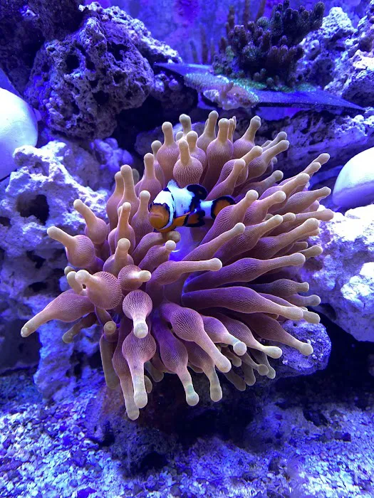 Midwest Aquaculture Picture 7