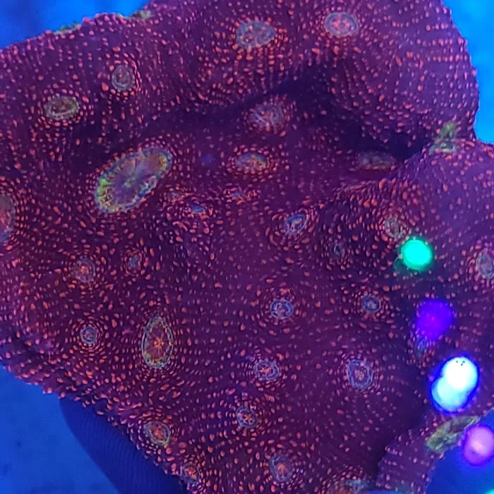 Midwest Aquaculture Picture 8