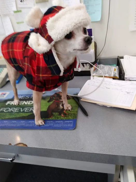 Leroy Animal Clinic Picture 3