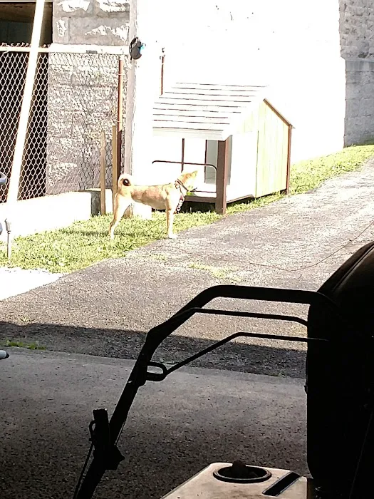Leroy Animal Clinic Picture 5
