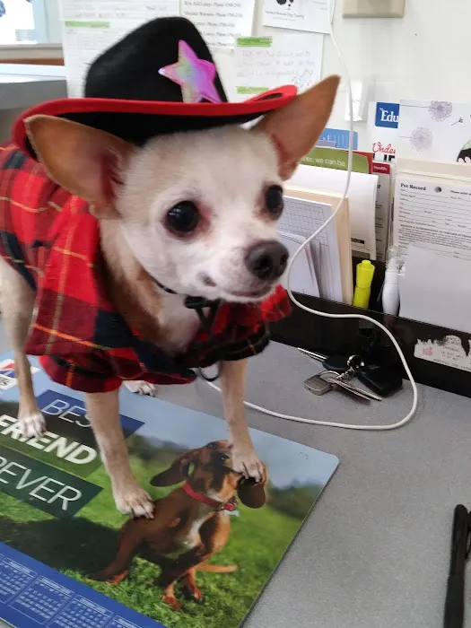 Leroy Animal Clinic Picture 7