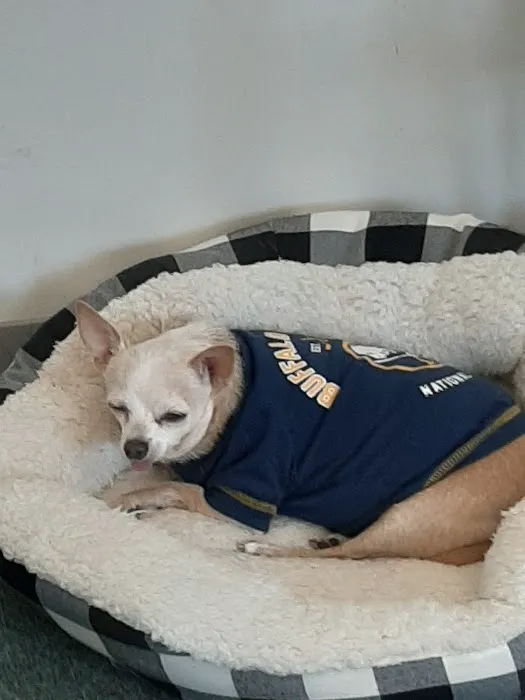 Leroy Animal Clinic Picture 2