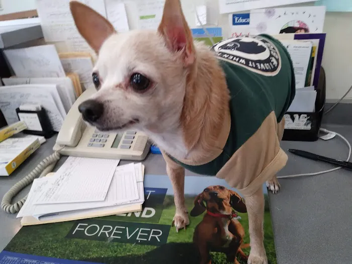 Leroy Animal Clinic Picture 4
