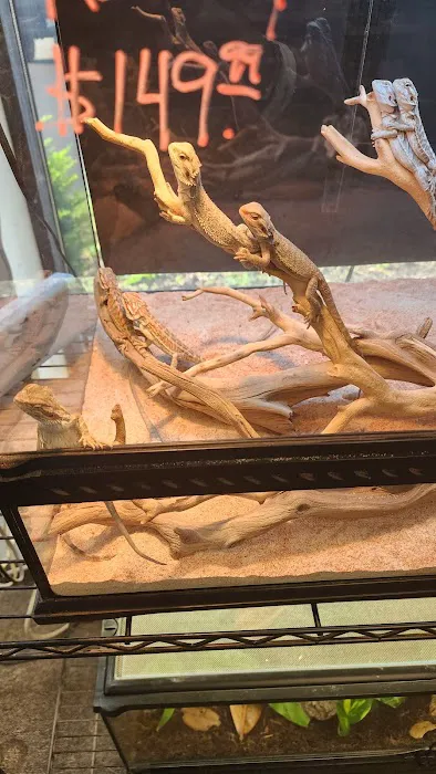 Captive Bred Specialties Picture 3