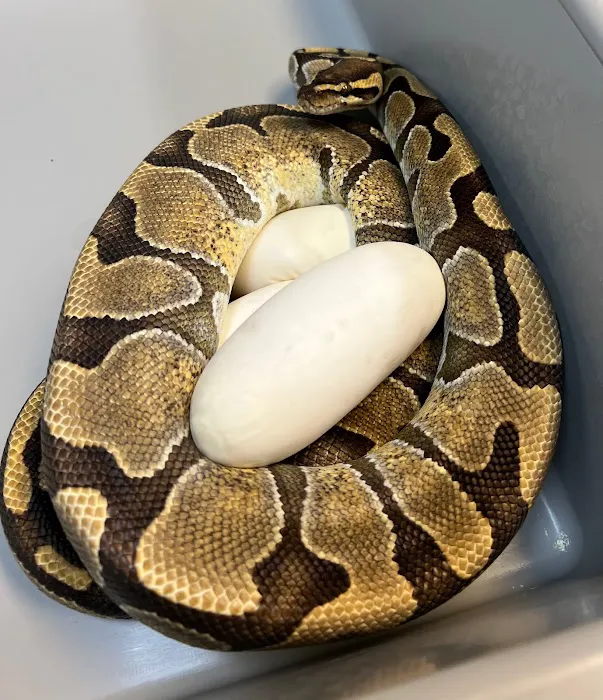 Captive Bred Specialties Picture 8