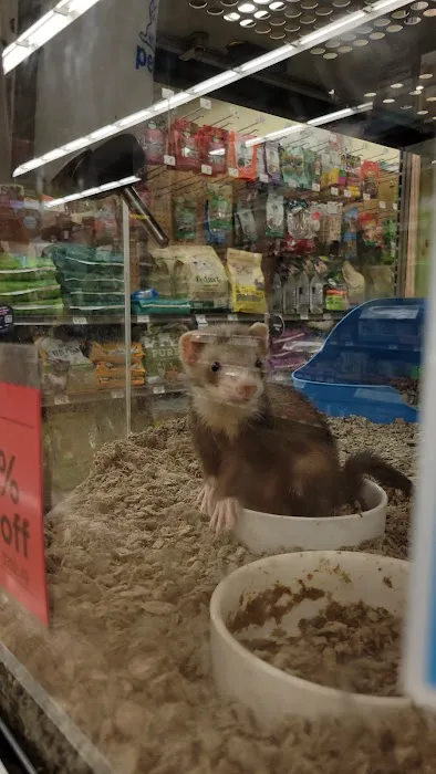 Petco Picture 3