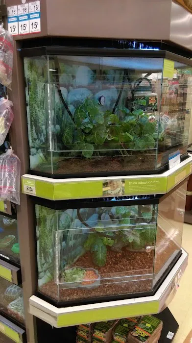 Petco Picture 10