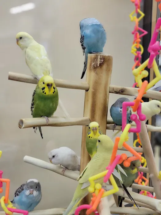 Petco Picture 1