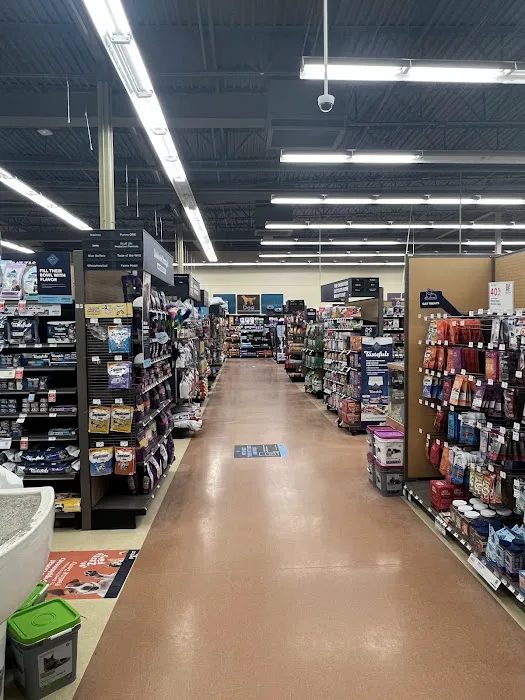 Petco Picture 5