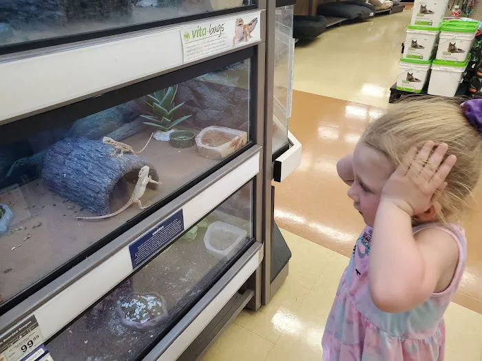 Petco Picture 7