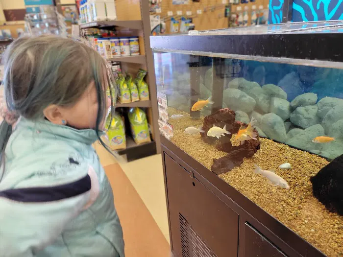 Petco Picture 6