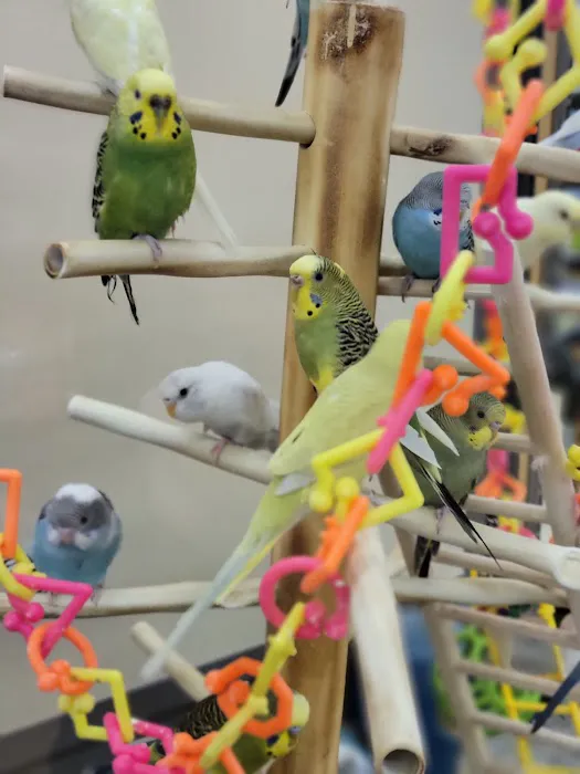 Petco Picture 4