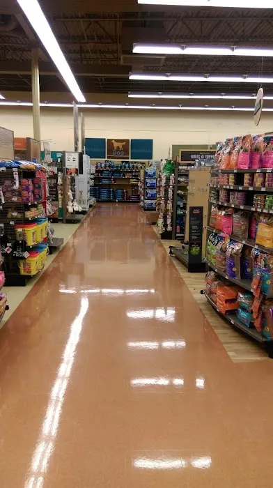 Petco Picture 9